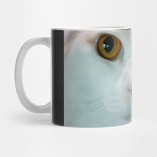 Cat up Close Mug